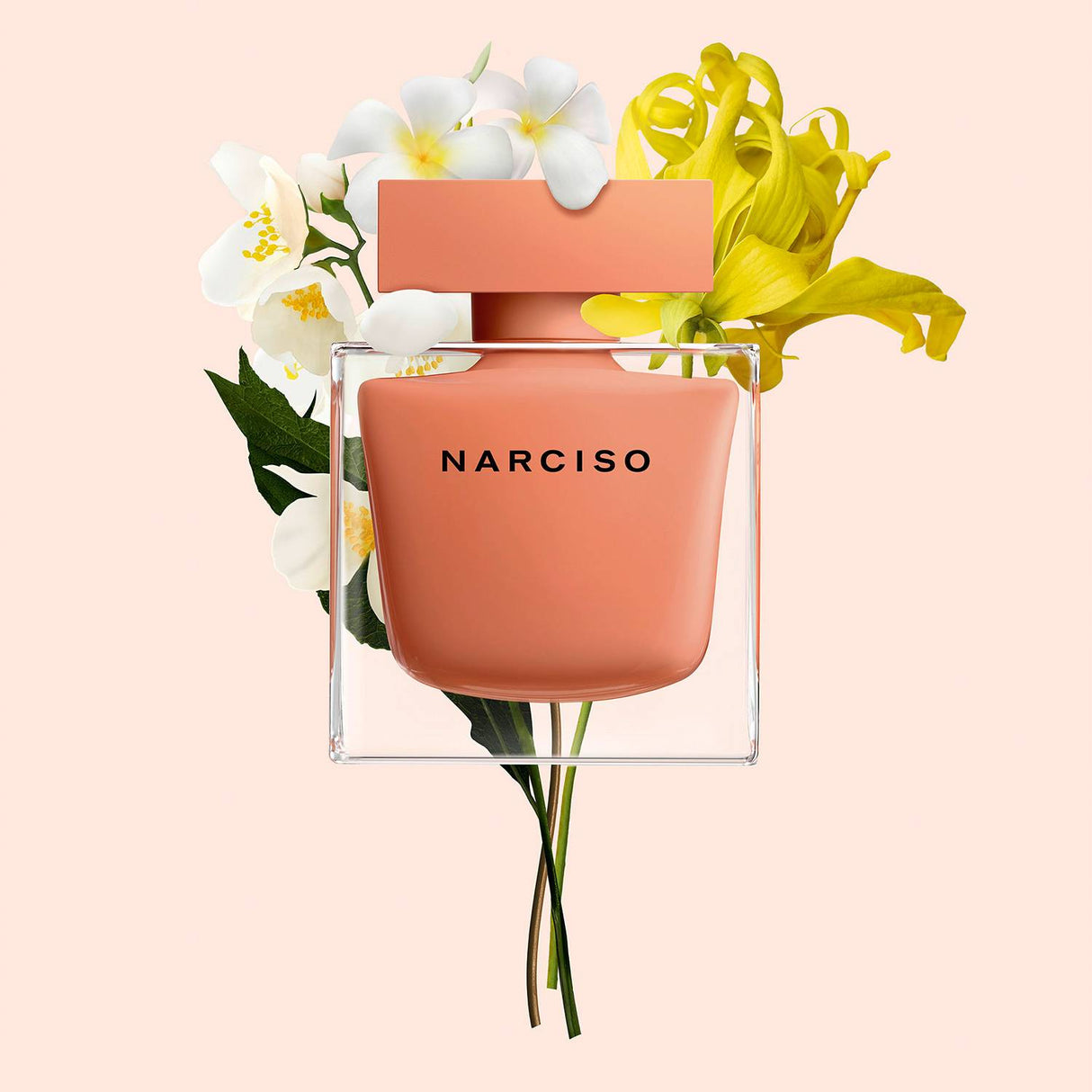 Narciso Ambree Narciso Rodriguez Edp 30Ml Mujer