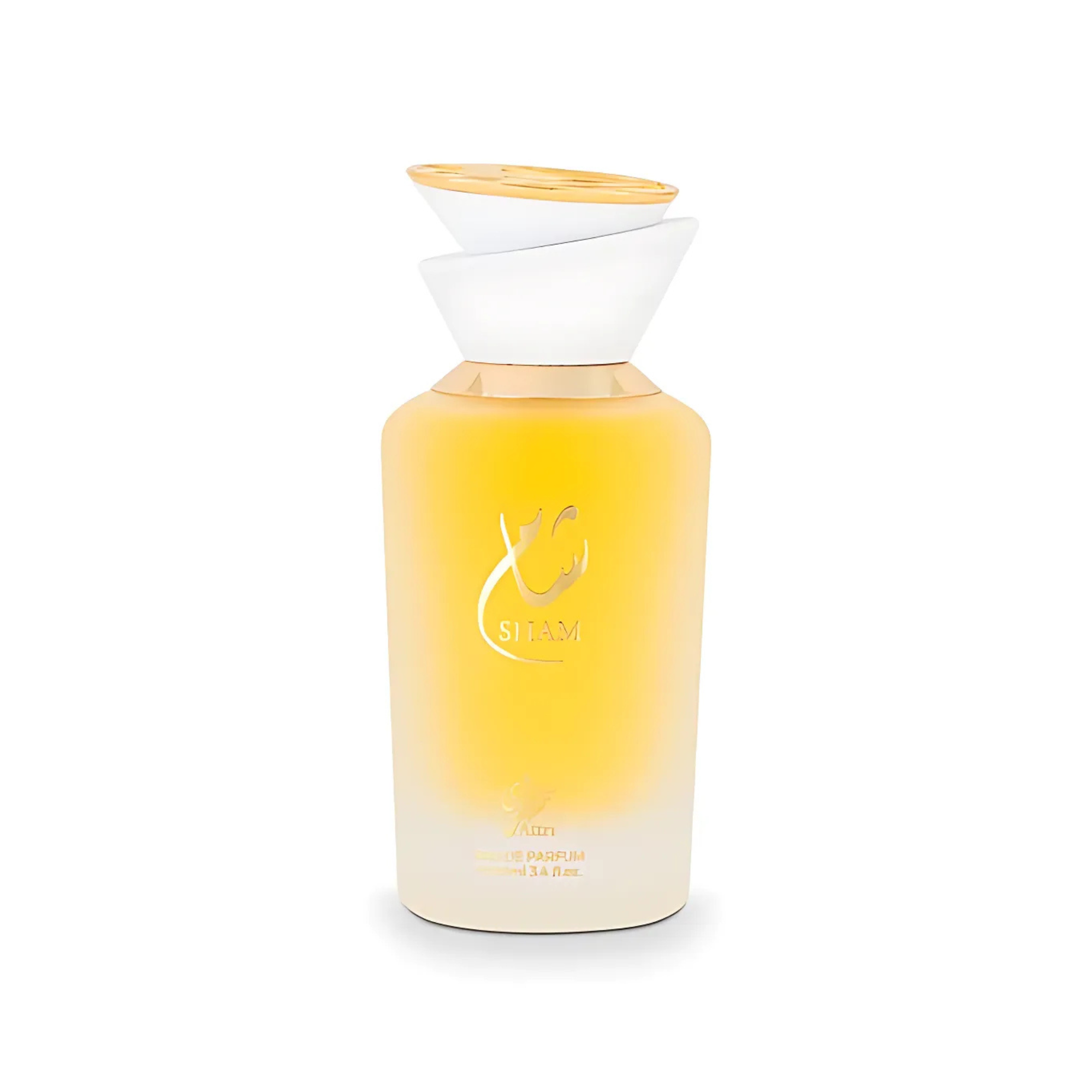 Sham Attri Edp 100ML Unisex