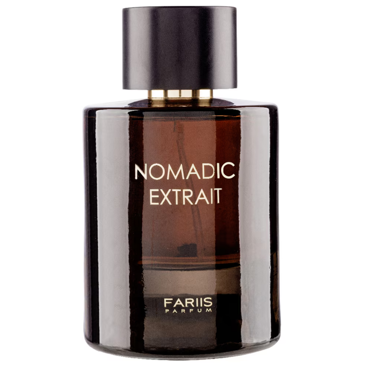 Fariis Nomadic Extrait Parfum EDP 100 ml Unisex