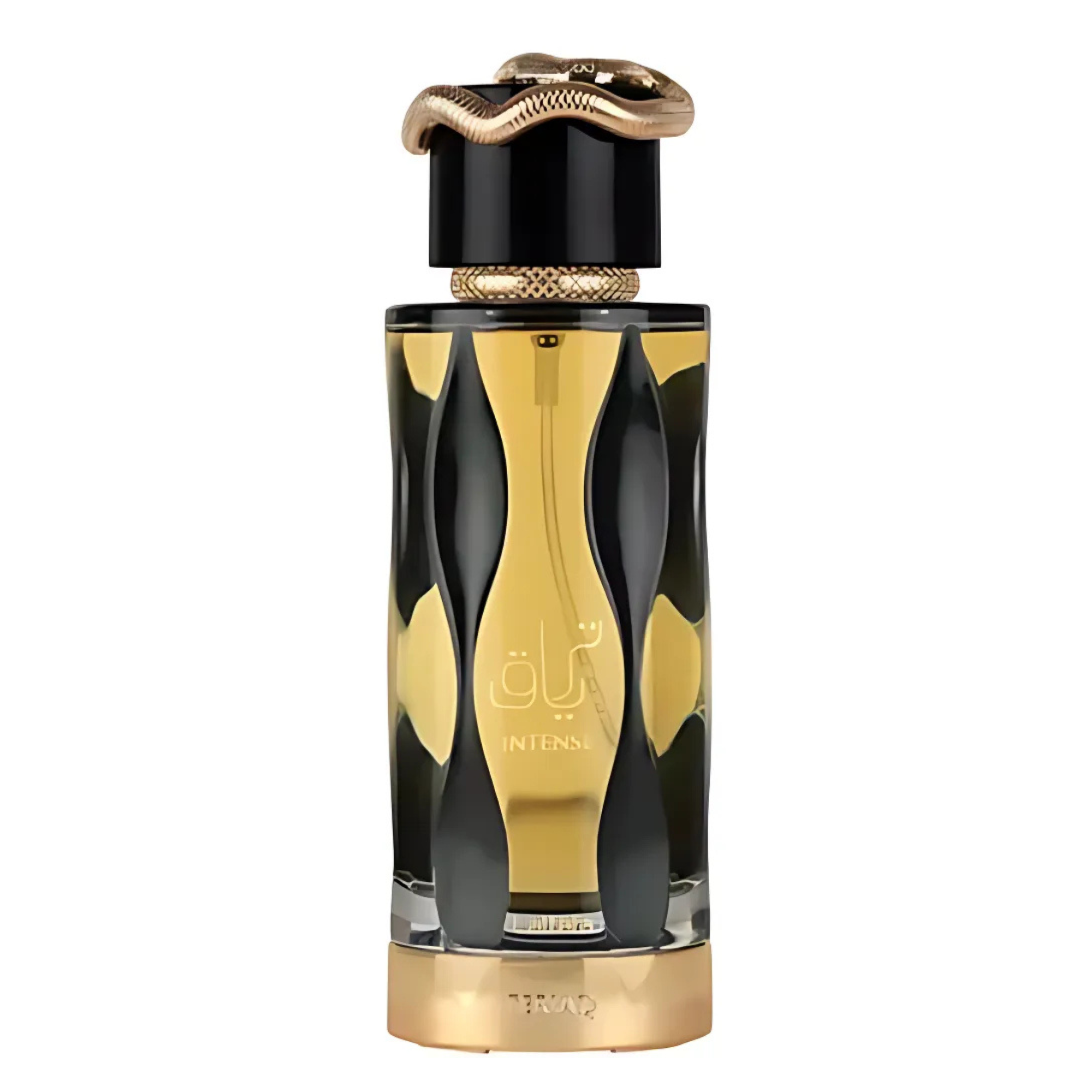 Teriaq Intense Lattafa Edp 100ML Unisex - Inspirado en Le Male Elixir Absolu Jean Paul Gaultier