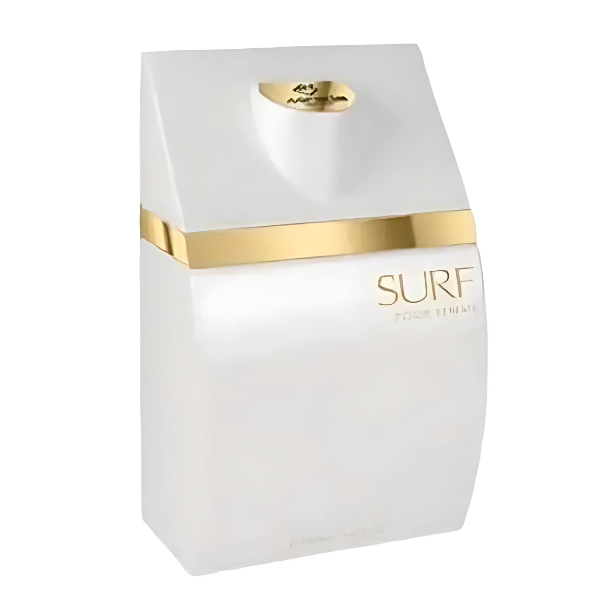 Surf For Femme Mirada Edp 100ML Mujer