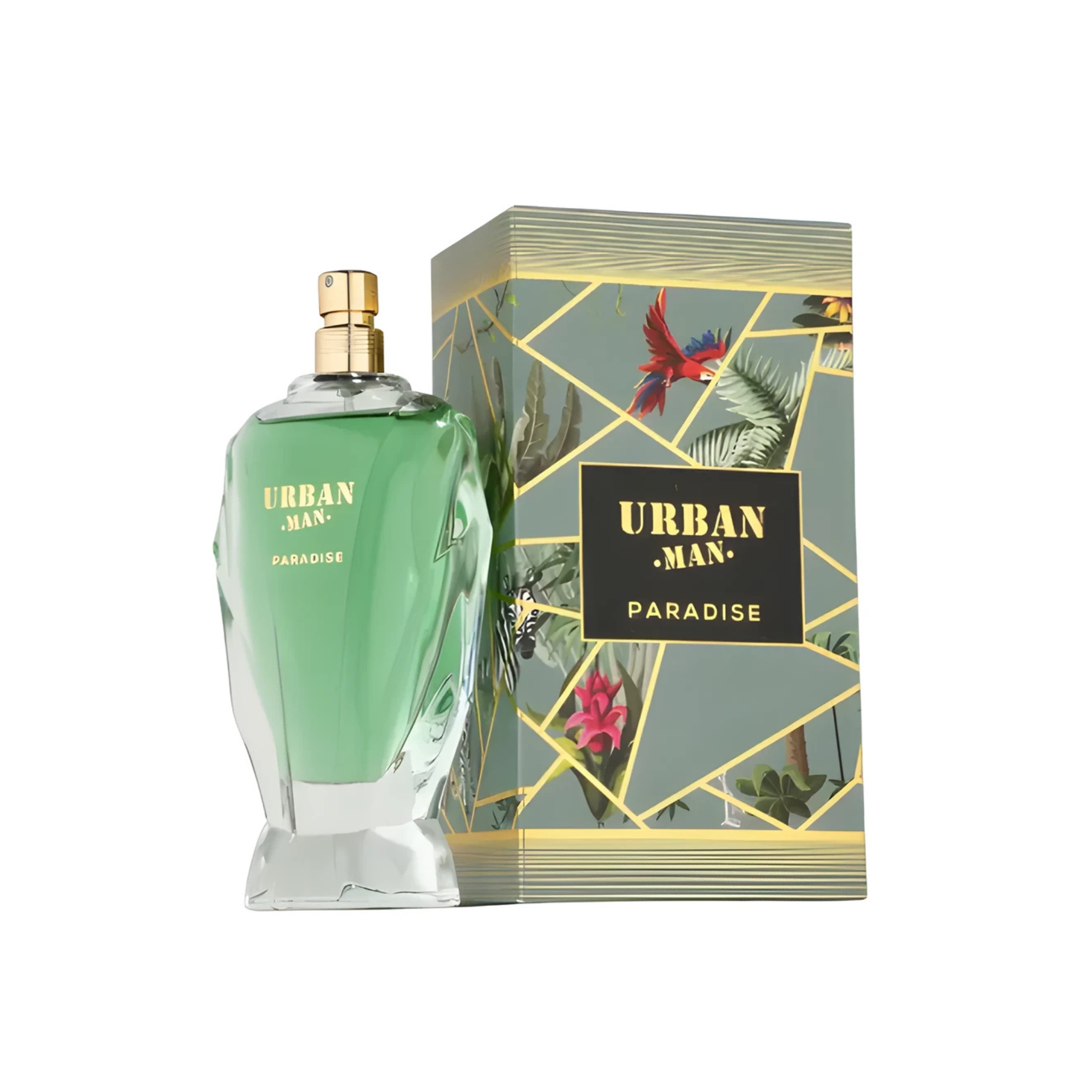 Urban Man Paradise Fragrance World Edp 90ML Hombre