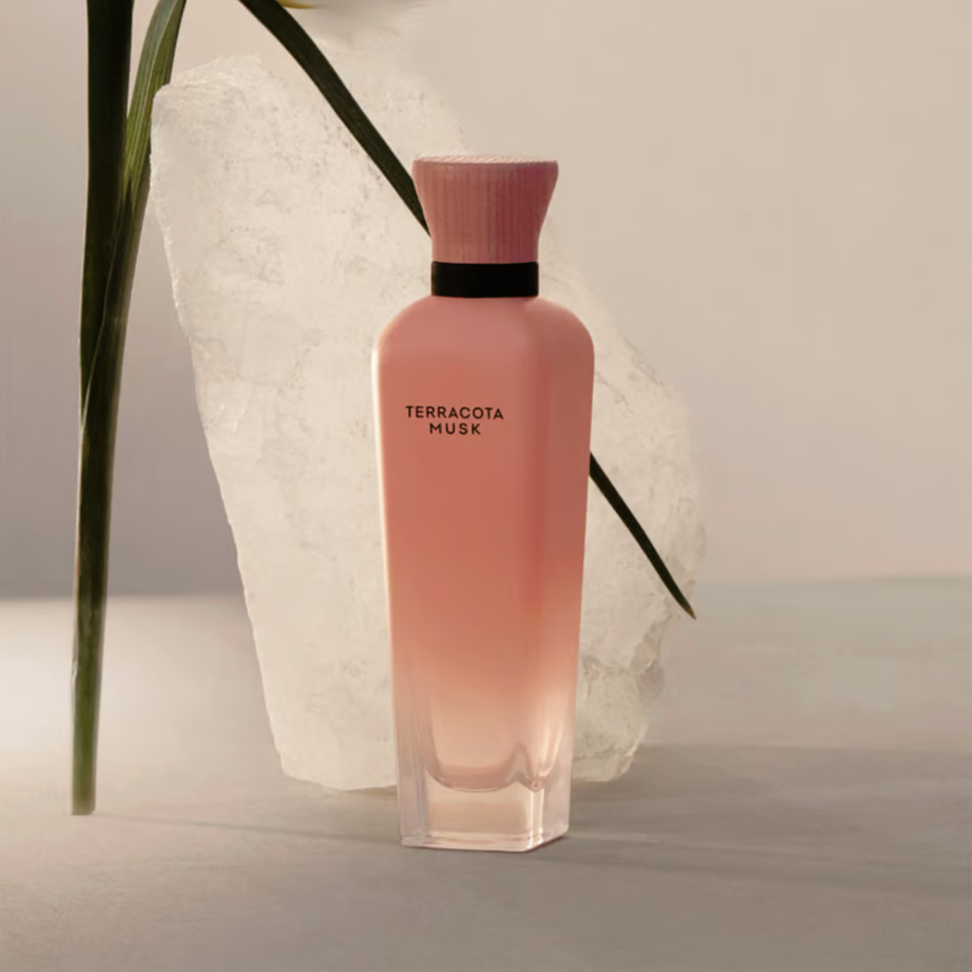 Terracota Musk Adolfo Dominguez Edp 120Ml Mujer