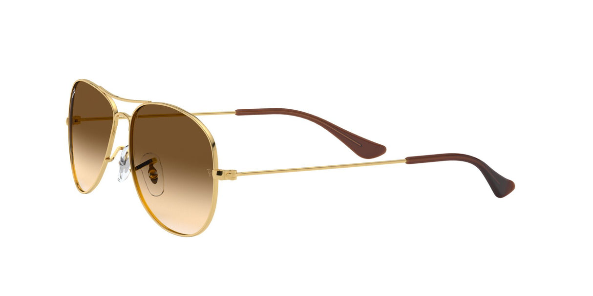 RAY BAN Cockpit RB33620015159 Unisex