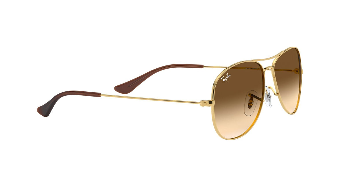 RAY BAN Cockpit RB33620015159 Unisex