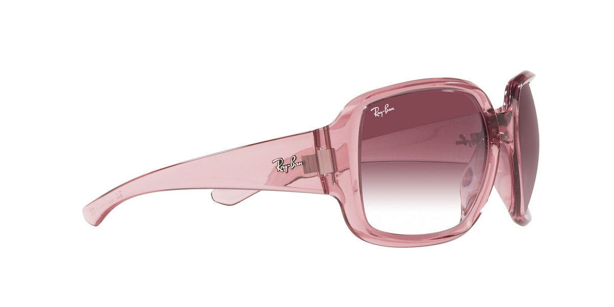 RAY BAN Powderhorn RB434765338H60 Unisex