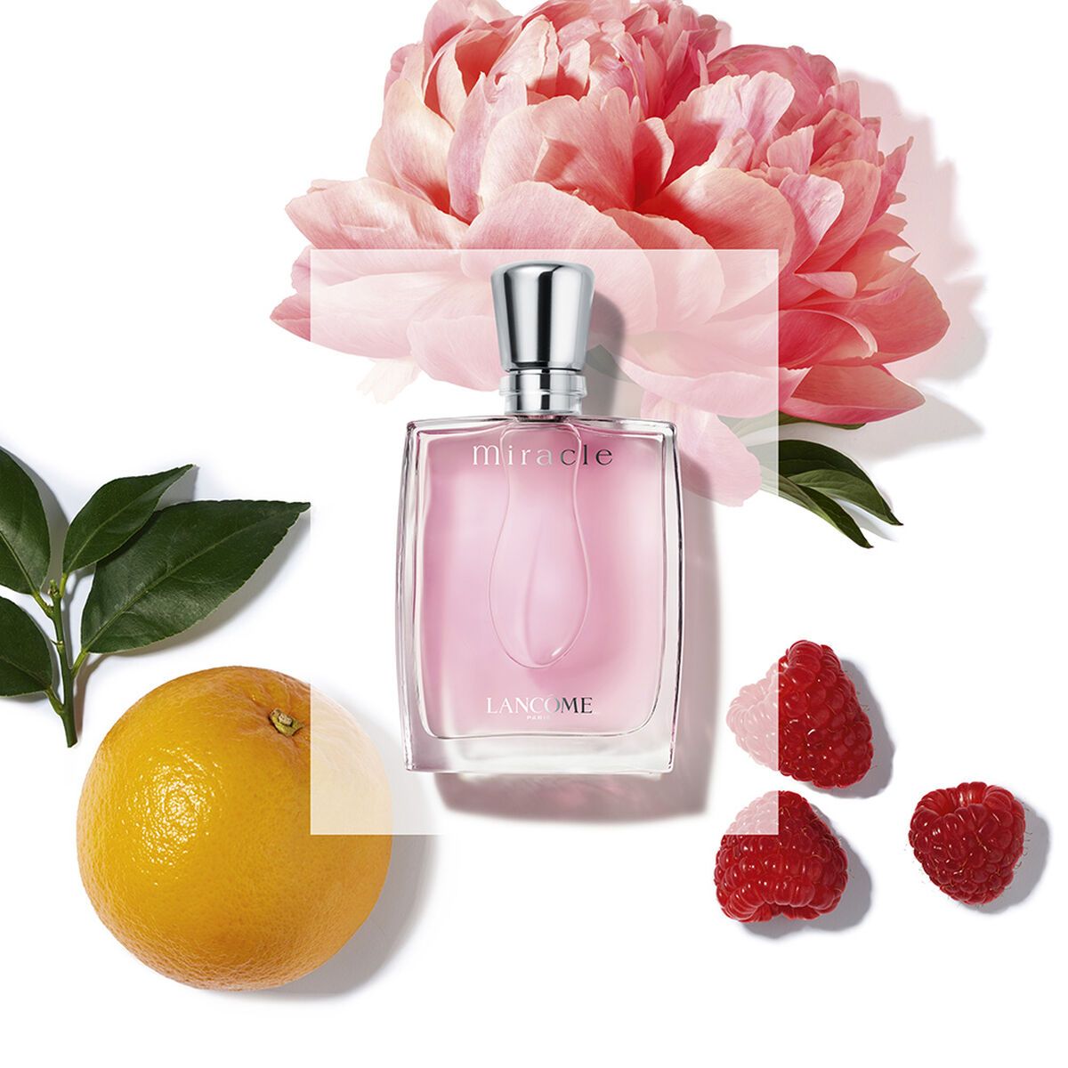 Miracle Lancome Edp 30ml Mujer