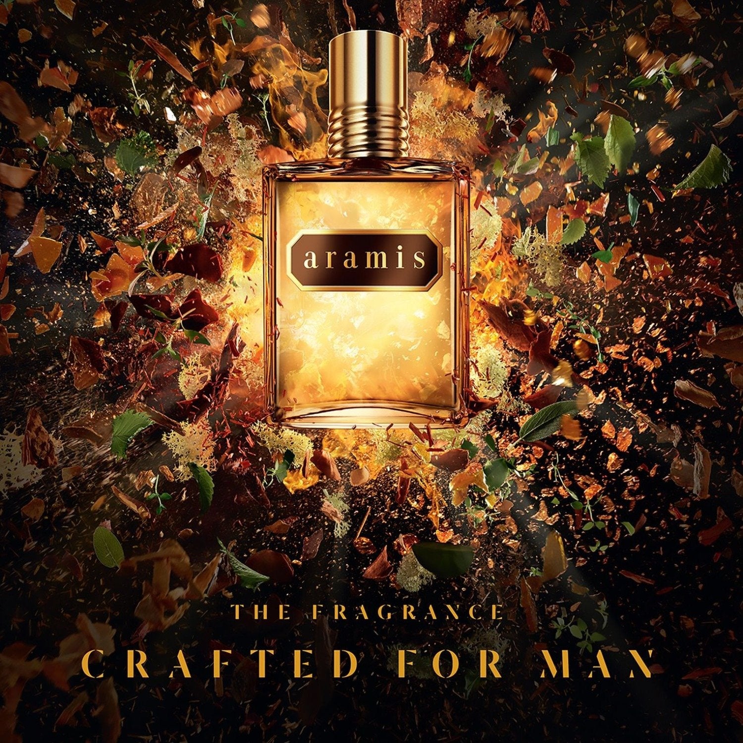 Aramis Edt Hombre 110 ml
