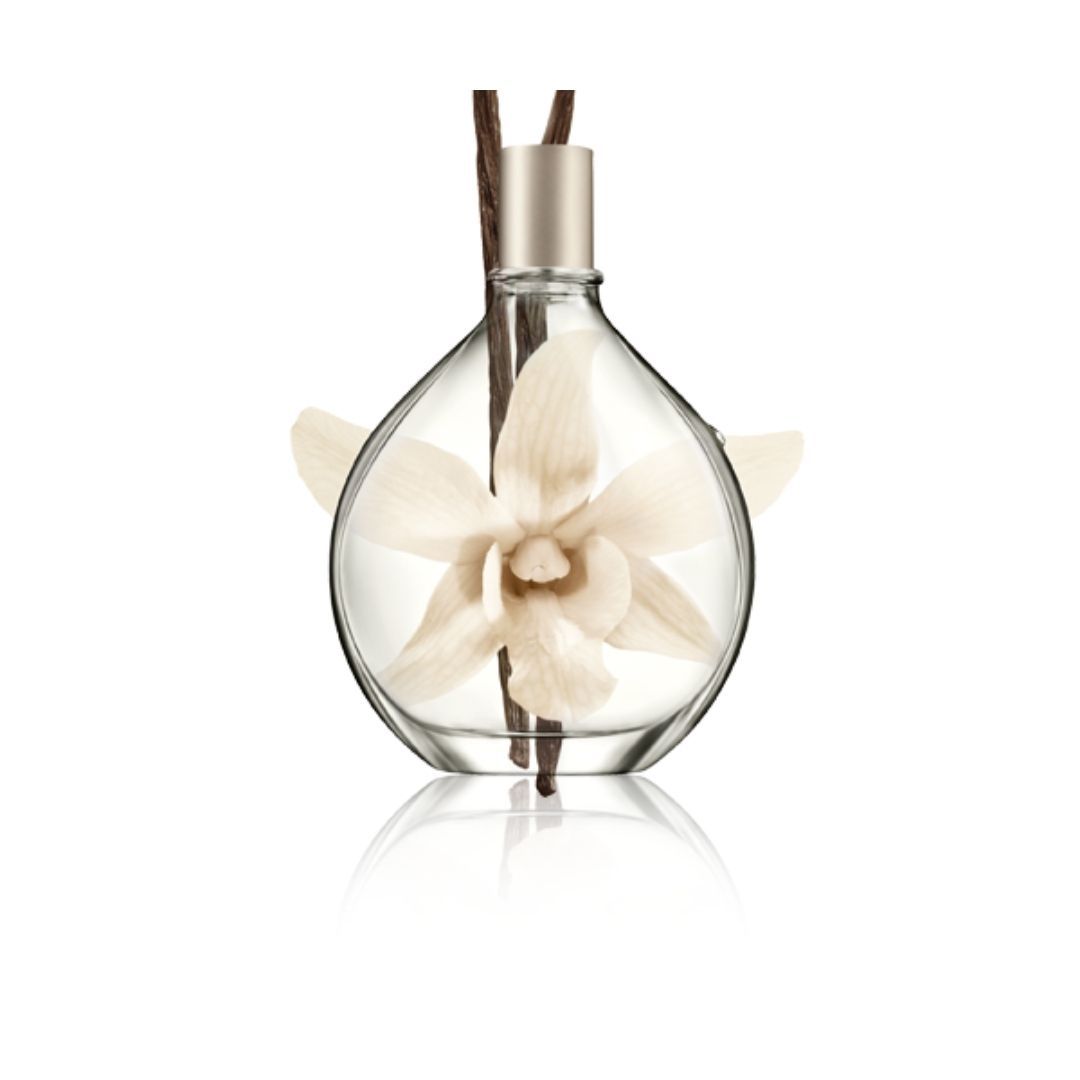 Pure Dkny Vanilla Edp 100 ml Mujer