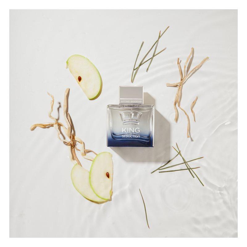 King of Seduction 100ML EDT Hombre Antonio Banderas