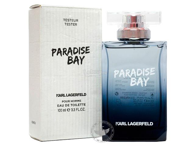 PARADISE BAY 100ML EDT HOMBRE TESTER