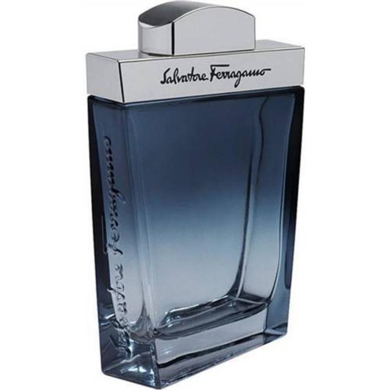 Subtil Salvatore Ferragamo Edt 100ml Hombre