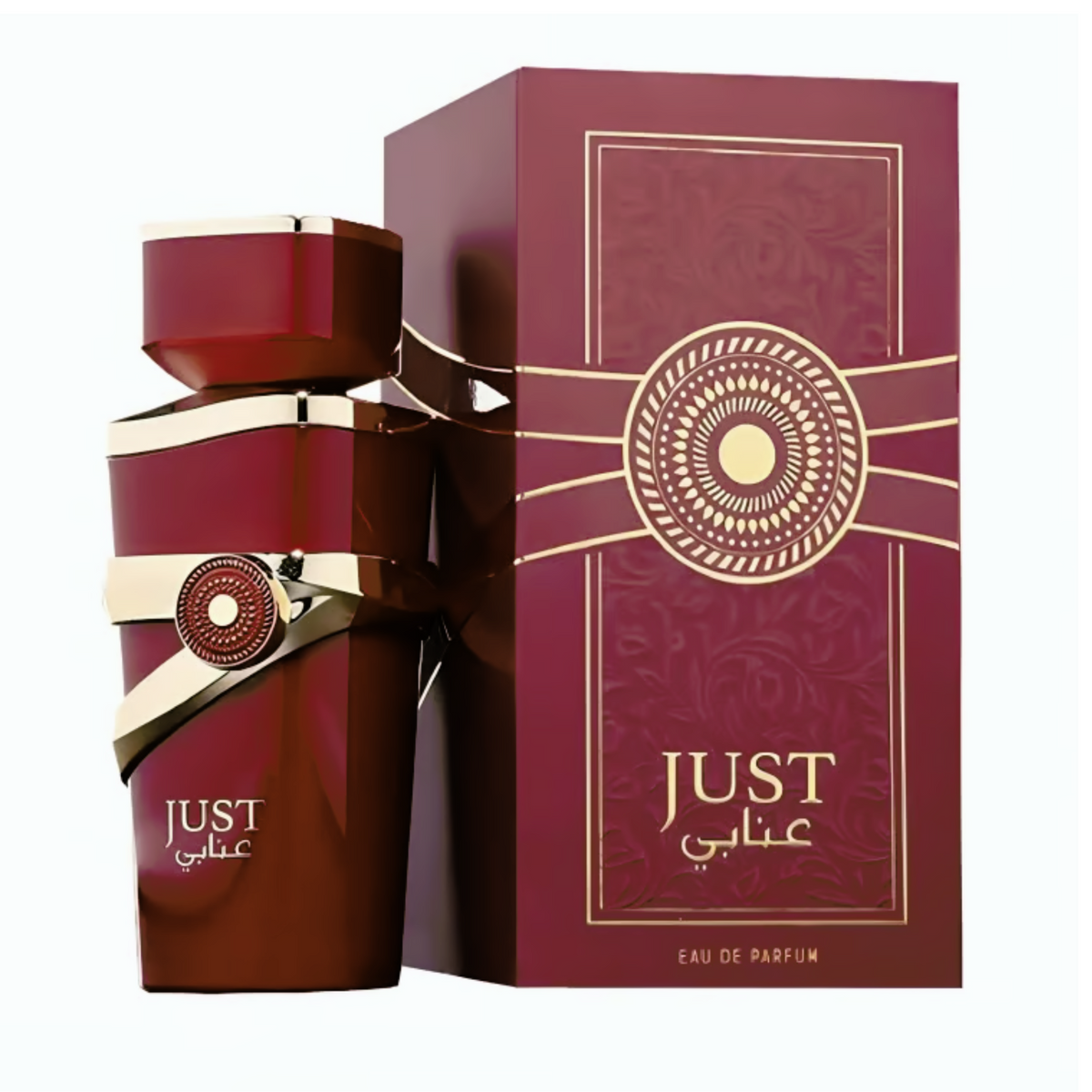 Just Fragarnce World Edp 100Ml Unisex (Marron)