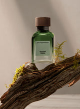 Vetiver Terra Adolfo Dominguez Edp 120 Ml Hombre