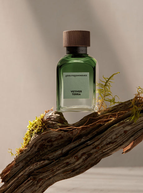 Vetiver Terra Adolfo Dominguez Edp 120 Ml Hombre