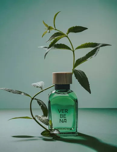 Verbena Adolfo Dominguez 120ML EDT Hombre