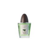 Acqua Di Pino Fougere Pino Silvestre Edt 125Ml Hombre