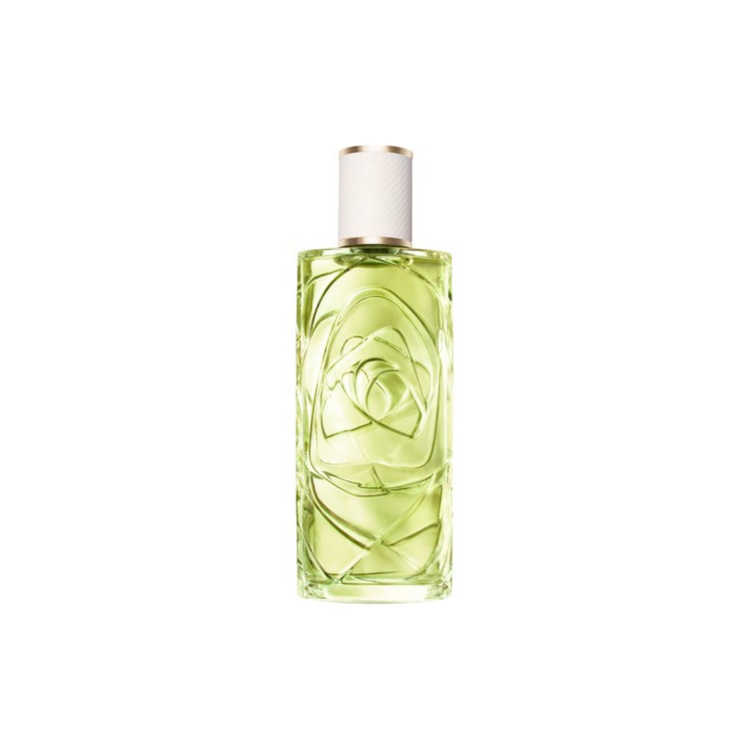 O Off Now Lancome Edt 100Ml Mujer