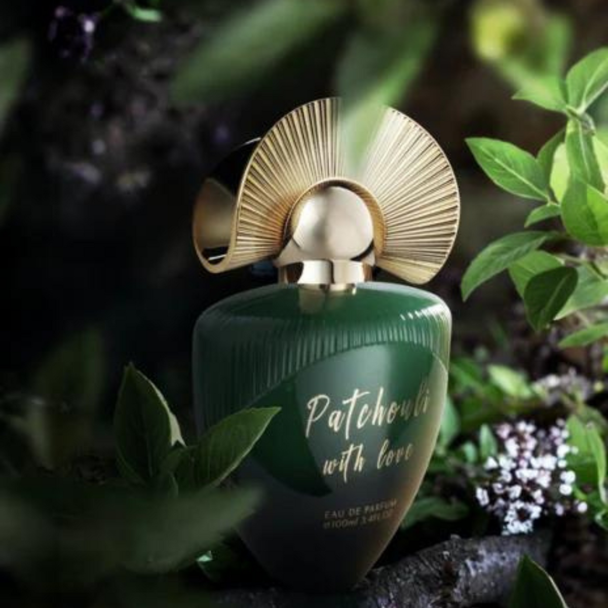 Maison Asrar Patchouli With Love EDP 100 ml Unisex