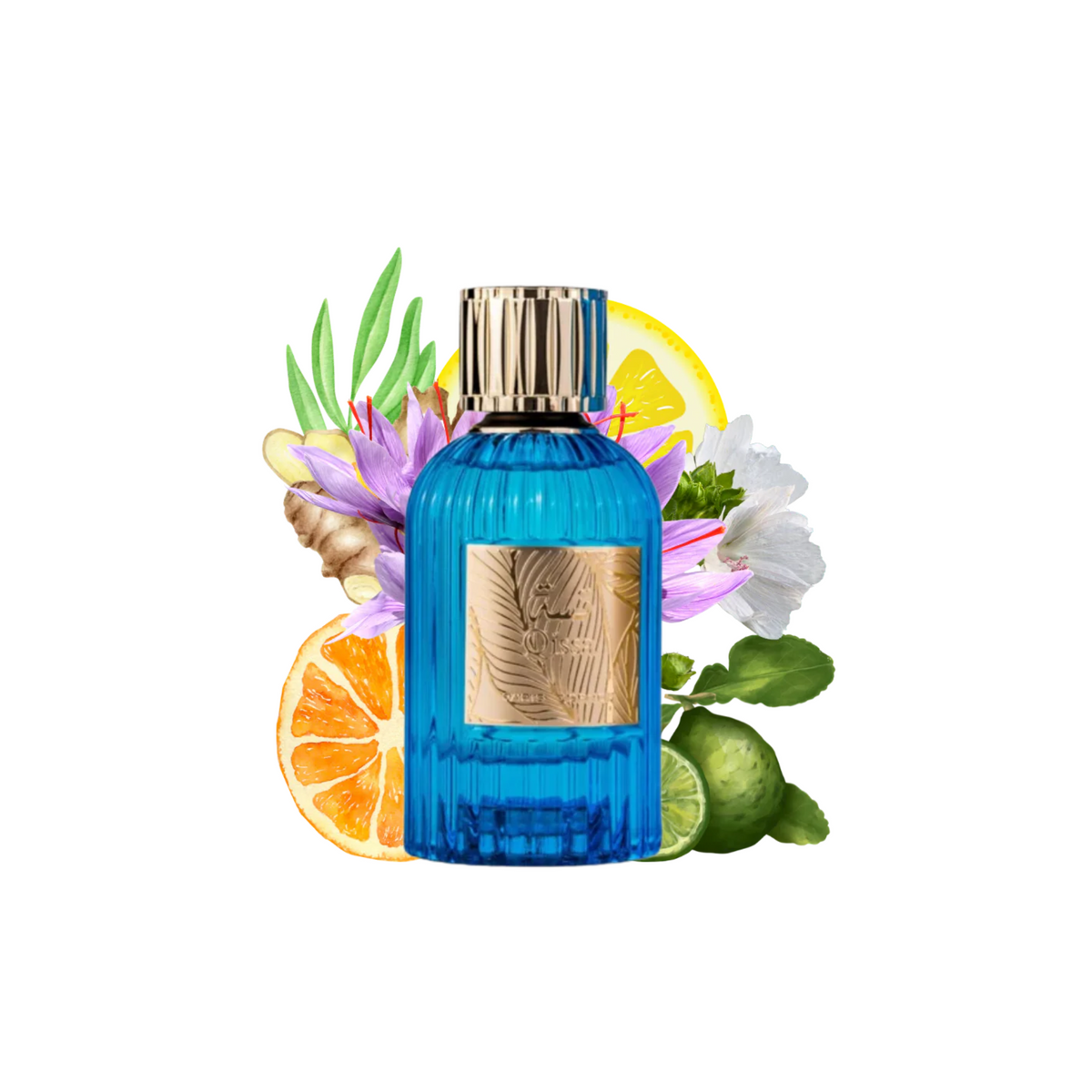 Qissa Blue Paris Corner Edp 100Ml Hombre - Inspirado en Soleil de Capri Montale
