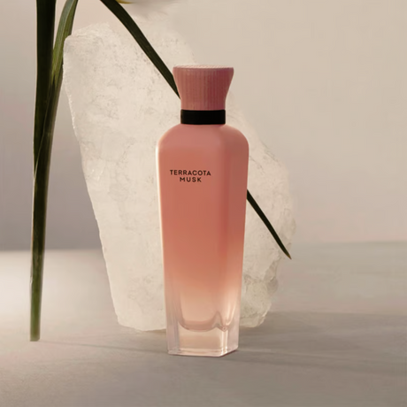 Terracota Musk Adolfo Dominguez Edp 120Ml Mujer