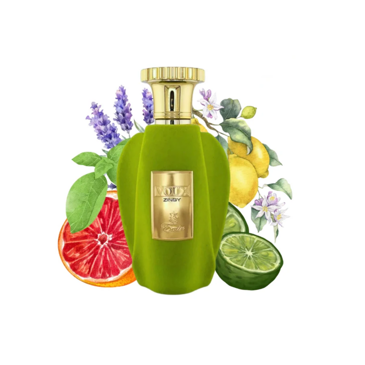 Voux Zingy Emir Edp 100Ml Unisex- Inspirado en Torino21 Xerjoff