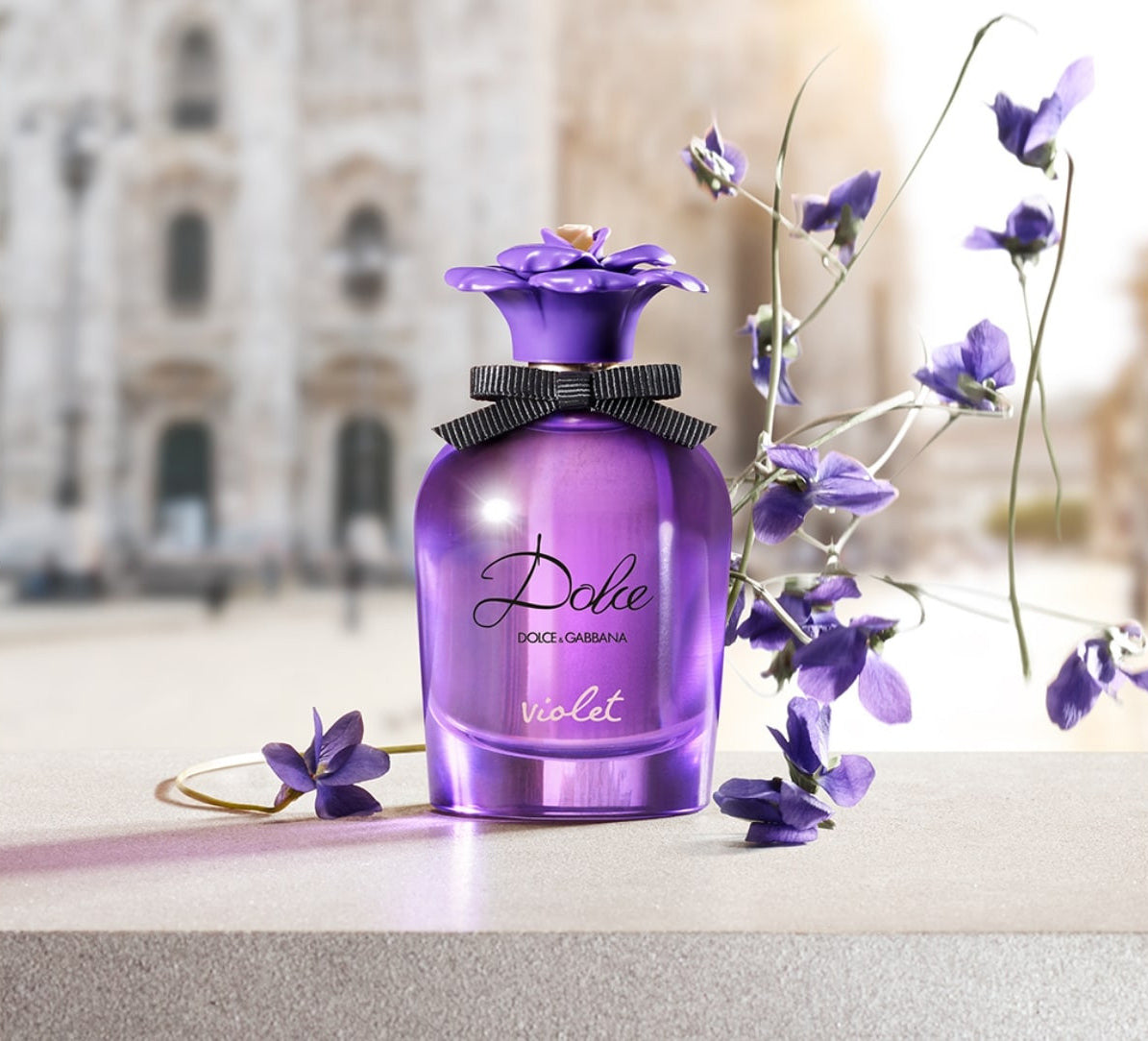 Violet Dolce & Gabanna Edt 75ML  Mujer