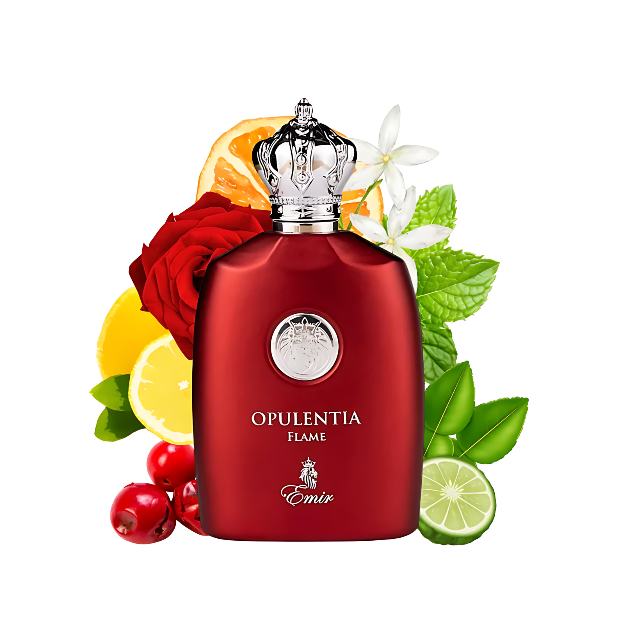 Opulentia Flame Emir Edp 100Ml Hombre