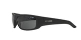 ARNETTE Powderhorn AN418221968762  Unisex