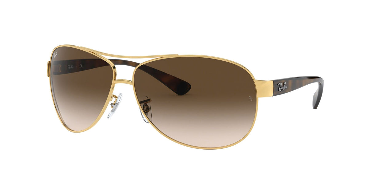 RAY BAN  RB33860011363  Unisex