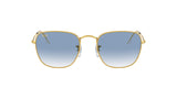 RAY BAN Frank RB385791963F51  Unisex