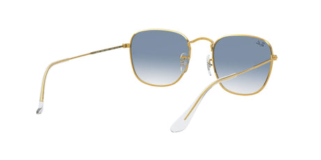 RAY BAN Frank RB385791963F51  Unisex