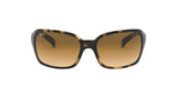 RAY BAN  RB40687105160  Unisex