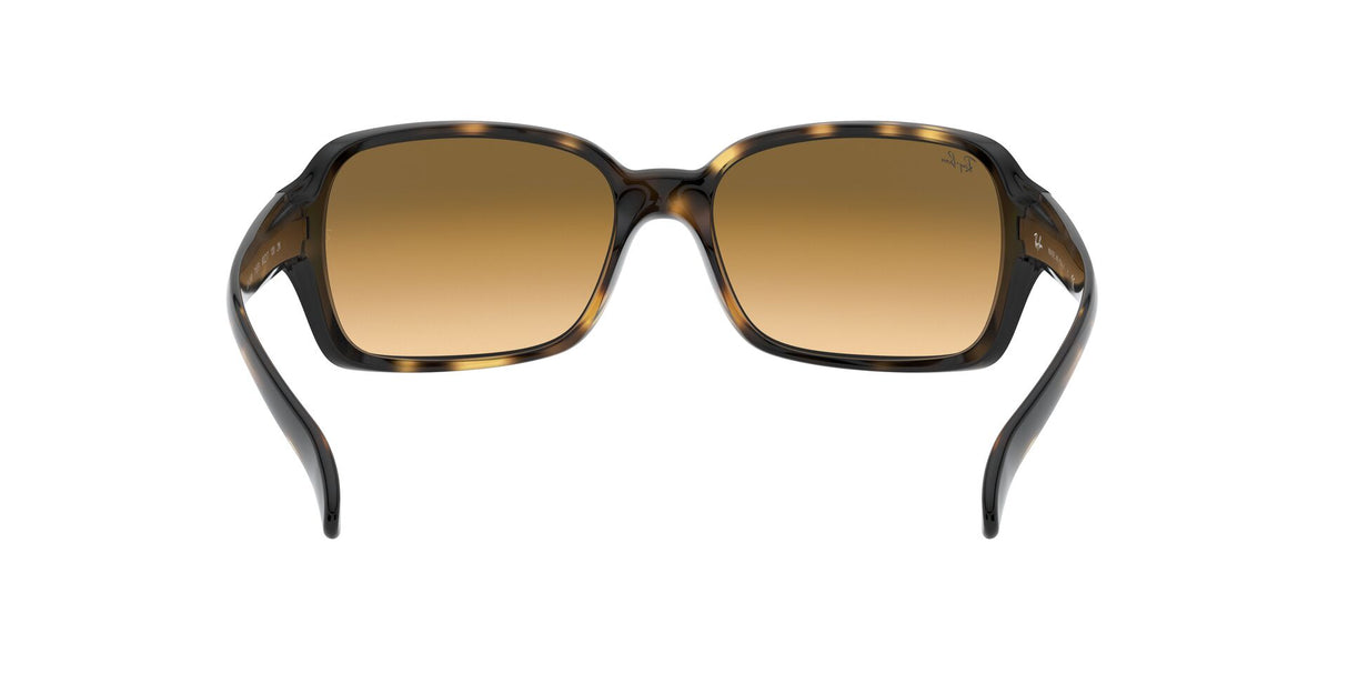 RAY BAN  RB40687105160  Unisex