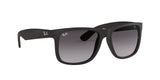 RAY BAN Justin RB41656018G51  Unisex