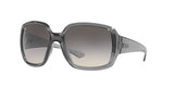 RAY BAN Powderhorn RB434765301160  Unisex