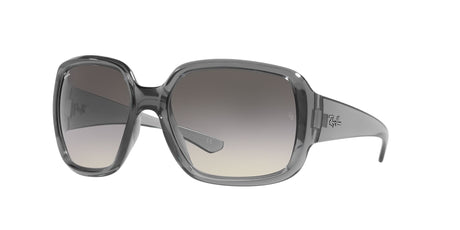 RAY BAN Powderhorn RB434765301160  Unisex