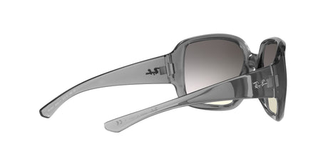 RAY BAN Powderhorn RB434765301160  Unisex