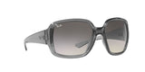 RAY BAN Powderhorn RB434765301160  Unisex