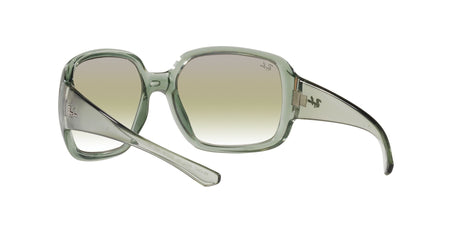 RAY BAN Powderhorn RB434765320N60  Unisex