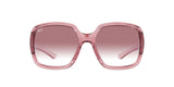 RAY BAN Powderhorn RB434765338H60  Unisex