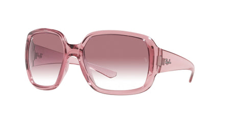 RAY BAN Powderhorn RB434765338H60  Unisex