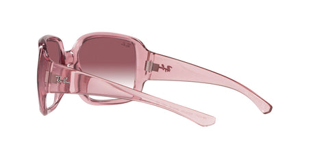 RAY BAN Powderhorn RB434765338H60  Unisex