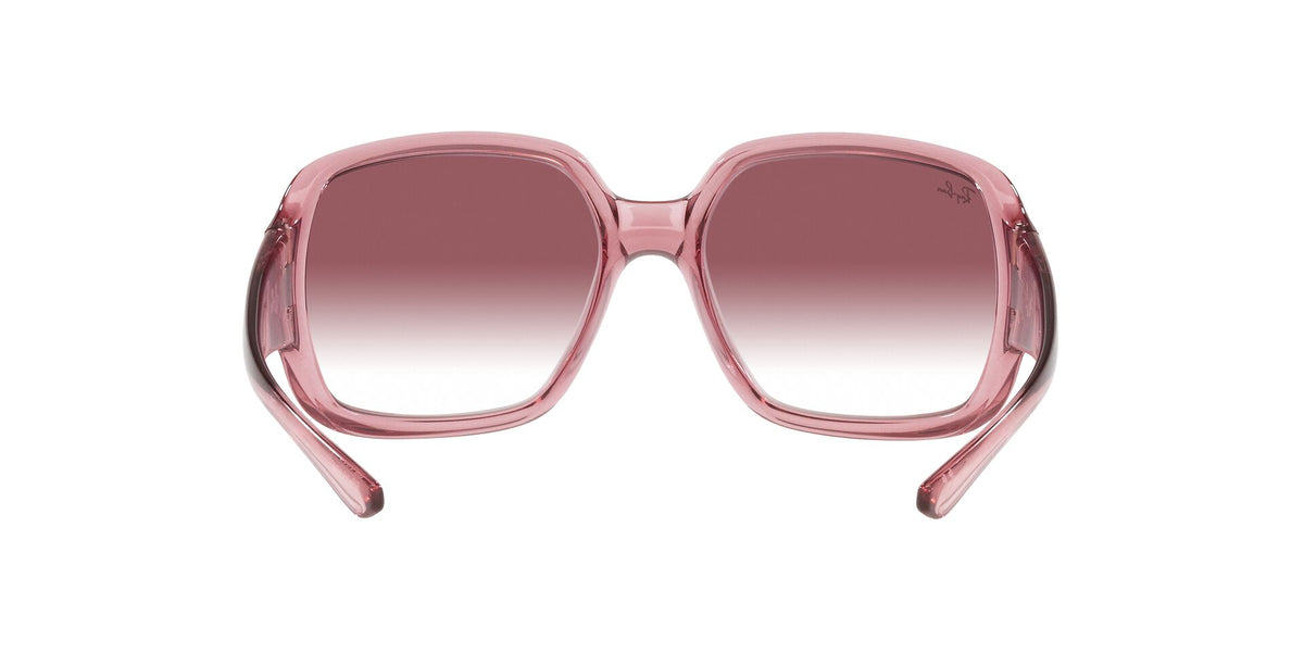 RAY BAN Powderhorn RB434765338H60  Unisex
