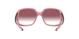 RAY BAN Powderhorn RB434765338H60  Unisex