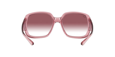 RAY BAN Powderhorn RB434765338H60  Unisex