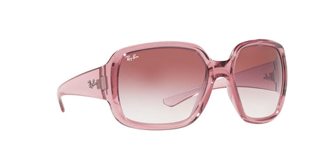 RAY BAN Powderhorn RB434765338H60  Unisex