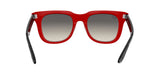 RAY BAN Powderhorn RB436865181151  Unisex