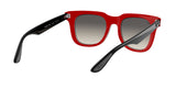 RAY BAN Powderhorn RB436865181151  Unisex