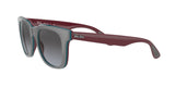 RAY BAN Powderhorn RB436865248G51  Unisex